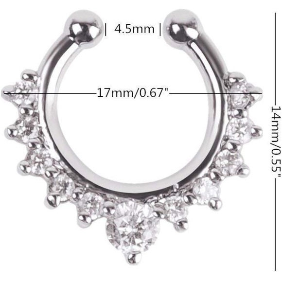 🔥Fake Septum Rings - Picture 2 of 2